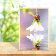 Charger l'image dans la galerie, Coccinelle de fleur - diamant rond complet - 30x40cm