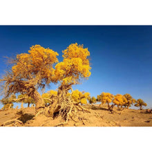 Charger l'image dans la galerie, Arbre jaune - diamant rond complet - 30x40cm