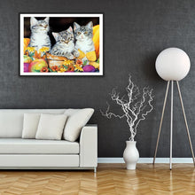 Charger l'image dans la galerie, Chat - diamant rond complet - 40x30cm