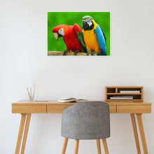 Charger l'image dans la galerie, Perroquet - diamant rond complet - 30x40cm