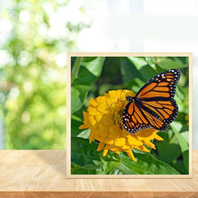 Charger l'image dans la galerie, Papillon - diamant rond complet - 30x30cm