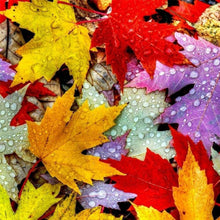 Charger l'image dans la galerie, Feuille d’érable - diamant rond complet - 30x30cm