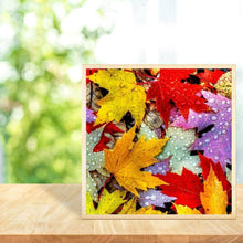 Charger l'image dans la galerie, Feuille d’érable - diamant rond complet - 30x30cm