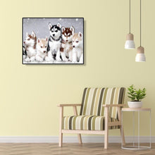 Charger l'image dans la galerie, Portraits d’animaux - peinture en diamant complet - 40x30cm
