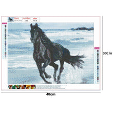 Charger l'image dans la galerie, Portraits d’animaux - peinture en diamant complet - 40x30cm