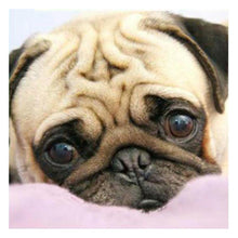 Charger l'image dans la galerie, Chien - diamant rond complet - 30x30cm