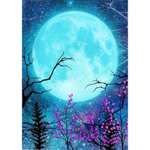 Charger l'image dans la galerie, Lune - diamant plein rond - 30x40cm
