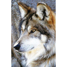 Charger l'image dans la galerie, Loup - diamant rond complet - 30x40cm