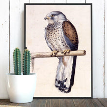 Charger l'image dans la galerie, Oiseau - peinture en diamant complet - 40x30cm