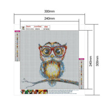 Charger l'image dans la galerie, Lunettes hibou - diamant rond complet - 30x30cm