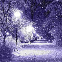 Charger l'image dans la galerie, Snowing - peinture diamant pleine - 30x30cm