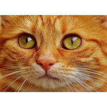 Charger l'image dans la galerie, Chat - peinture en diamant complet - 40x30cm
