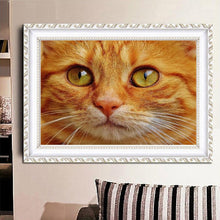 Charger l'image dans la galerie, Chat - peinture en diamant complet - 40x30cm