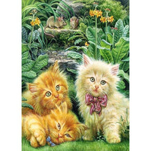 Charger l'image dans la galerie, Chat - peinture en diamant complet - 30x40cm