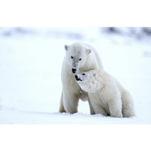 Charger l'image dans la galerie, Ours polaire - diamant rond complet - 40x30cm