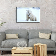 Charger l'image dans la galerie, Ours polaire - diamant rond complet - 40x30cm