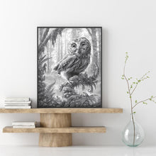 Charger l'image dans la galerie, Hibou - diamant rond complet - 30x40cm