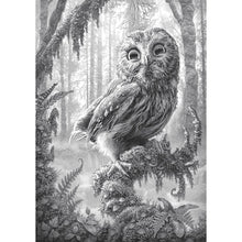 Charger l'image dans la galerie, Hibou - diamant rond complet - 30x40cm