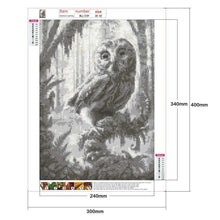 Charger l'image dans la galerie, Hibou - diamant rond complet - 30x40cm