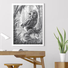Charger l'image dans la galerie, Hibou - diamant rond complet - 30x40cm