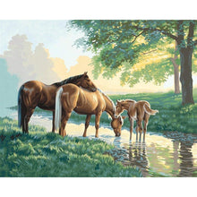 Charger l'image dans la galerie, Cheval potable - peinture en diamant complet - 40x30cm