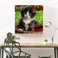 Charger l'image dans la galerie, Beau chat - peinture en diamant complet - 30x30cm