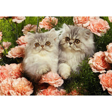 Charger l'image dans la galerie, Chat de fleur - peinture complète de diamant - 40x30cm