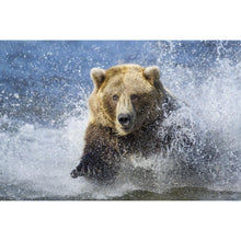 Charger l'image dans la galerie, Animal - peinture en diamant complet - 30x40cm