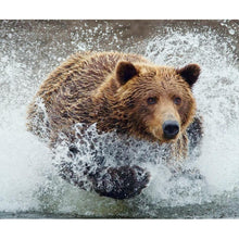 Charger l'image dans la galerie, Animal - peinture en diamant complet - 30x40cm