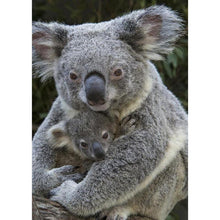 Charger l'image dans la galerie, Koala mignon - peinture complète de diamant - 30x40cm