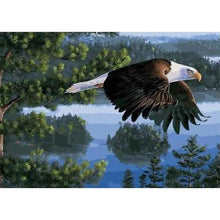 Charger l'image dans la galerie, Aigle - peinture en diamant complet - 30x40cm