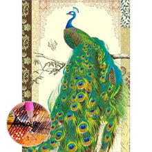 Charger l'image dans la galerie, Peafowl - peinture en diamant complet - 30x40cm