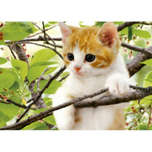 Charger l'image dans la galerie, Chat - peinture en diamant complet - 30x40cm