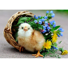 Charger l'image dans la galerie, Chick - peinture en diamant complet - 30x40cm