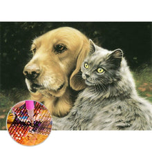 Charger l'image dans la galerie, Chien de chat - peinture complète de diamant - 30x40cm