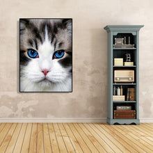 Charger l'image dans la galerie, Chat - peinture en diamant complet - 30x40cm