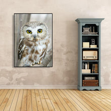 Charger l'image dans la galerie, de hibou - peinture diamant pleine - 30x40cm
