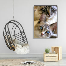 Charger l'image dans la galerie, Chat - peinture en diamant complet - 30x40cm