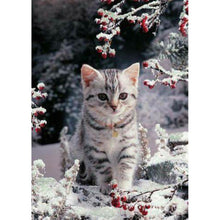 Charger l'image dans la galerie, Chat - peinture en diamant complet - 30x40cm