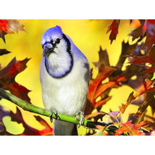 Charger l'image dans la galerie, Oiseau debout - peinture complète de diamant - 40x30cm