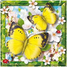 Charger l'image dans la galerie, ButterflyPicture - peinture en diamant complet - 30x30cm