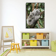 Charger l'image dans la galerie, Koala mignon complet - peinture complète de diamant - 30x40cm