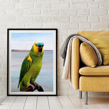 Charger l'image dans la galerie, Oiseau mignon - peinture complète de diamant - 30x40cm