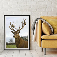 Charger l'image dans la galerie, Élan complet - peinture en diamant complet - 30x40cm