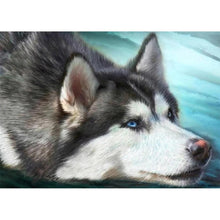 Charger l'image dans la galerie, Headpictures de chien - peinture complète de diamant - 40x30cm