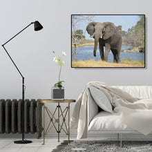 Charger l'image dans la galerie, Photos éléphant de bord de la rivière - peinture diamant complet - 40x30cm