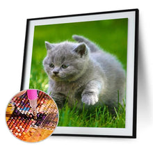 Charger l'image dans la galerie, Animal de chat - peinture complète de diamant - 30x30cm