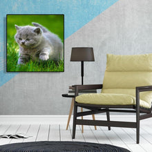 Charger l'image dans la galerie, Animal de chat - peinture complète de diamant - 30x30cm