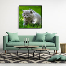 Charger l'image dans la galerie, Animal de chat - peinture complète de diamant - 30x30cm