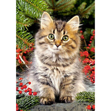 Charger l'image dans la galerie, Chat mignon - peinture complète de diamant - 30x40cm